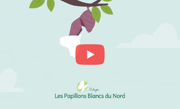 vidéo de présentation de l'udapei